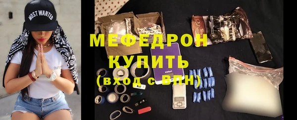 индика Снежногорск