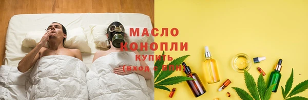 гидропоника Гусиноозёрск