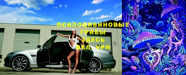 твердый Новокубанск