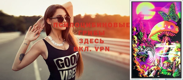 спиды Новодвинск