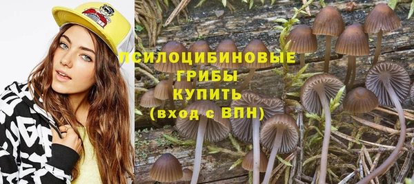 твердый Новокубанск