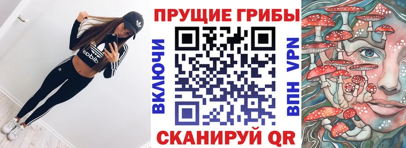 Псилоцибиновые грибы Cubensis  цены   Клин 