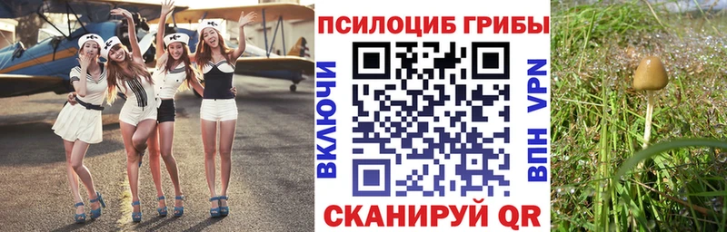 Галлюциногенные грибы ЛСД Клин