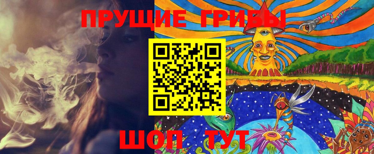 Псилоцибиновые грибы Psilocybine cubensis Клин