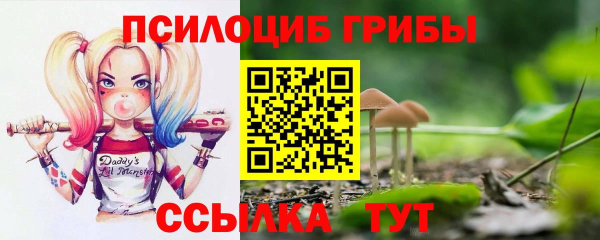 Галлюциногенные грибы Cubensis  купить закладку  Клин  Вход с VPN 